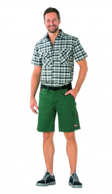 Highline Shorts grün