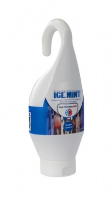 Ice Mint Gel Steh- und Hängeflasche 250 ml