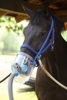 Ultraschall-Inhalator AirOne Komplettset für Pferde