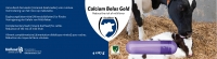 Holland Animal Care Calcium Bolus Gold 4 Stück