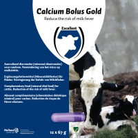 Holland Animal Care Calcium Bolus Gold 12 Stück