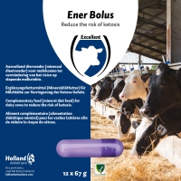 Holland Animal Care Energie Bolus 12 Stück