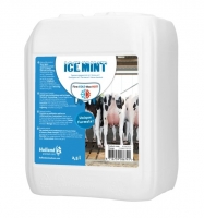 Ice Mint Gel Kanister 2,5 L