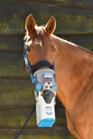 Akku-Ultraschall-Inhalator AirOne Flex für Pferde